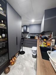 Riversound Residence (D19), Condominium #515277161